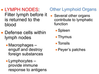  LYMPH NODES:
Filter lymph before it
is returned to the
blood
 Defense cells within
lymph nodes
Macrophages –
engulf and destroy
foreign substances
Lymphocytes –
provide immune
response to antigens
Other Lymphoid Organs
 Several other organs
contribute to lymphatic
function
 Spleen
 Thymus
 Tonsils
 Peyer’s patches
 
