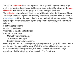 The lymph capillaries form the beginning of the lymphatic system. Here, large
molecules (proteins) and interstitial fluid are absorbed and flow towards the pre-
collectors, which channel the lymph fluid into the larger collectors.
The collectors have valves similar to veins which determine the direction of flow.
The lymph collector segment bordered by a distal and proximal valve is known as
a lymphangion. Here, the lymph flow is supported by intrinsic contractions of the
lymphangion which is regulated by the sympathetic nervous system and lymph
volume.
Breathing (diaphragm)
Muscle contractions
Vasomotion (pulsation of arteries)
External compression
Manual lymphatic drainage
Short stretch bandages
Gradient compression garments
On its way into the circulatory system, lymph passes through lymph nodes, which
are stationed throughout the body. While the axilla and inguinal areas are the
most well known for lymph nodes, the head and neck also contain a large
quantity, as do the intestines, which contain Peyer’s patches.
 
