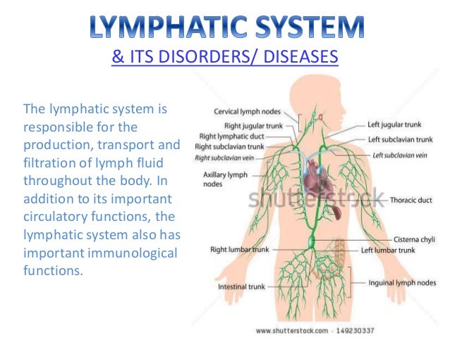 Use of lymphatic system Clearance