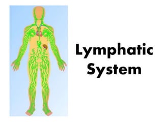 Lymphatic
System
 