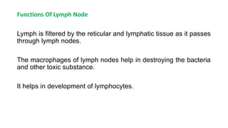 Functions Of Lymph Node
Lymph is filtered by the reticular and lymphatic tissue as it passes
through lymph nodes.
The macrophages of lymph nodes help in destroying the bacteria
and other toxic substance.
It helps in development of lymphocytes.
 