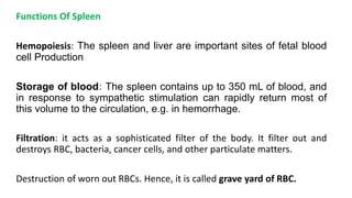 Functions Of Spleen
Hemopoiesis: The spleen and liver are important sites of fetal blood
cell Production
Storage of blood: The spleen contains up to 350 mL of blood, and
in response to sympathetic stimulation can rapidly return most of
this volume to the circulation, e.g. in hemorrhage.
Filtration: it acts as a sophisticated filter of the body. It filter out and
destroys RBC, bacteria, cancer cells, and other particulate matters.
Destruction of worn out RBCs. Hence, it is called grave yard of RBC.
 