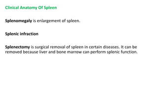 Clinical Anatomy Of Spleen
Splenomegaly is enlargement of spleen.
Splenic infraction
Splenectomy is surgical removal of spleen in certain diseases. It can be
removed because liver and bone marrow can perform splenic function.
 
