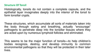 Structure Of Tonsil
Histologically, tonsils do not contain a complete capsule, and the
epithelial layer invaginates deeply into the interior of the tonsil to
form tonsillar crypts.
These structures, which accumulate all sorts of materials taken into
the body through eating and breathing, actually “encourage”
pathogens to penetrate deep into the tonsillar tissues where they
are acted upon by numerous lymphoid follicles and eliminated.
This seems to be the major function of tonsils—to help children’s
bodies recognize, destroy, and develop immunity to common
environmental pathogens so that they will be protected in their later
lives.
 