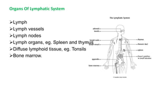 Organs Of Lymphatic System
Lymph
Lymph vessels
Lymph nodes
Lymph organs, eg. Spleen and thymus
Diffuse lymphoid tissue, eg. Tonsils
Bone marrow.
 