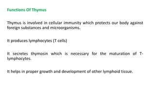 Functions Of Thymus
Thymus is involved in cellular immunity which protects our body against
foreign substances and microorganisms.
It produces lymphocytes (T cells)
It secretes thymosin which is necessary for the maturation of T-
lymphocytes.
It helps in proper growth and development of other lymphoid tissue.
 