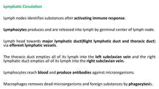 Lymphatic Circulation
Lymph nodes identifies substances after activating immune response.
Lymphocytes produces and are released into lymph by germinal center of lymph node.
Lymph head towards major lymphatic duct(Right lymphatic duct and thoracic duct)
via efferent lymphatic vessels.
The thoracic duct empties all of its lymph into the left subclavian vein and the right
lymphatic duct empties all of its lymph into the right subclavian vein.
Lymphocytes reach blood and produce antibodies against microorganisms.
Macrophages removes dead microorganisms and foreign substances by phagocytosis.
 