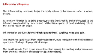 Inflammatory Response
The inflammatory response helps the body return to homeostasis after a wound
occurs.
Its primary function is to bring phagocytic cells (neutrophils and monocytes) to the
inflamed area to destroy bacteria and rid the tissue spaces of dead and dying cells so
that tissue repair can begin.
Inflammation produces four cardinal signs: redness, swelling, heat, and pain.
The first three signs result from local vasodilation, fluid leakage into the extravascular
space, and blockage of lymphatic drainage.
The fourth results from tissue space distention caused by swelling and pressure and
from chemical irritation of nociceptors (pain receptors).
 