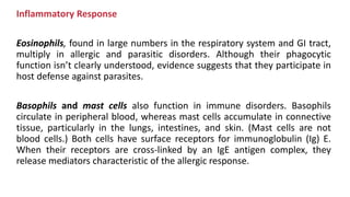 Inflammatory Response
Eosinophils, found in large numbers in the respiratory system and GI tract,
multiply in allergic and parasitic disorders. Although their phagocytic
function isn’t clearly understood, evidence suggests that they participate in
host defense against parasites.
Basophils and mast cells also function in immune disorders. Basophils
circulate in peripheral blood, whereas mast cells accumulate in connective
tissue, particularly in the lungs, intestines, and skin. (Mast cells are not
blood cells.) Both cells have surface receptors for immunoglobulin (Ig) E.
When their receptors are cross-linked by an IgE antigen complex, they
release mediators characteristic of the allergic response.
 
