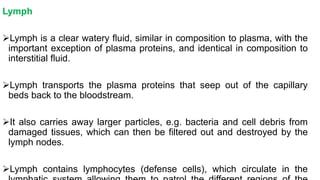 Lymph
Lymph is a clear watery fluid, similar in composition to plasma, with the
important exception of plasma proteins, and identical in composition to
interstitial fluid.
Lymph transports the plasma proteins that seep out of the capillary
beds back to the bloodstream.
It also carries away larger particles, e.g. bacteria and cell debris from
damaged tissues, which can then be filtered out and destroyed by the
lymph nodes.
Lymph contains lymphocytes (defense cells), which circulate in the
 