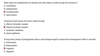 Stem cells are multipotential and develop into other types of cells through the process of:
A. chemotaxis.
B. phagocytosis.
C. hematopoiesis.
D. opsonization..
Cleansed lymph leaves the lymph nodes through:
A. afferent lymphatic vessels.
B. efferent lymphatic vessels.
C. lymphatic capillaries.
D. blood capillaries.
During which phase of phagocytosis does a macrophage engulf an opsonized microorganism within a vacuole?
A. Chemotaxis
B. Opsonization
C. Ingestion
D. Digestion
 