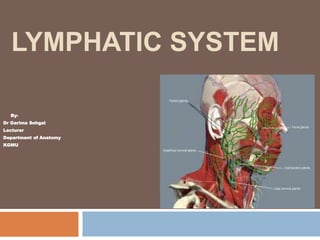 Lymphatic system