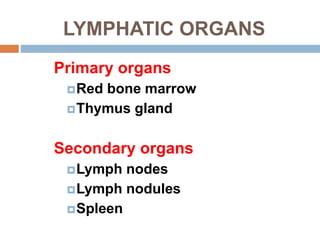 Lymphatic system