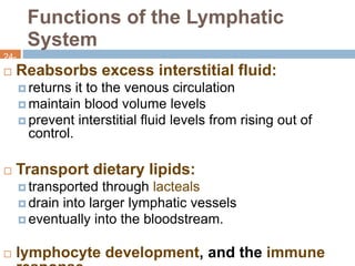 Lymphatic system