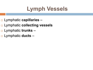 Lymphatic system