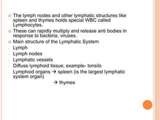 Lymphatic system | PPT