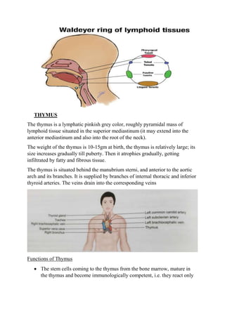 Head & Neck Diagram - Emedicodiary
