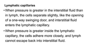 Lymphatic capillaries
•When pressure is greater in the interstitial fluid than
in lymph, the cells separate slightly, like the opening
of a one-way swinging door, and interstitial fluid
enters the lymphatic capillary.
•When pressure is greater inside the lymphatic
capillary, the cells adhere more closely, and lymph
cannot escape back into interstitial fluid.
 