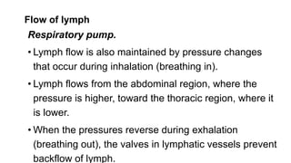 Flow of lymph
Respiratory pump.
• Lymph flow is also maintained by pressure changes
that occur during inhalation (breathing in).
• Lymph flows from the abdominal region, where the
pressure is higher, toward the thoracic region, where it
is lower.
• When the pressures reverse during exhalation
(breathing out), the valves in lymphatic vessels prevent
backflow of lymph.
 