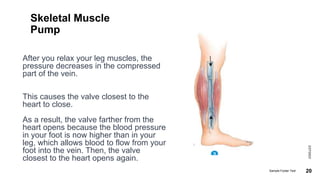 Skeletal Muscle
Pump
After you relax your leg muscles, the
pressure decreases in the compressed
part of the vein.
This causes the valve closest to the
heart to close.
As a result, the valve farther from the
heart opens because the blood pressure
in your foot is now higher than in your
leg, which allows blood to flow from your
foot into the vein. Then, the valve
closest to the heart opens again.
2/27/2023
Sample Footer Text 20
 