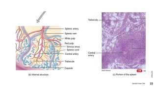 2/27/2023
Sample Footer Text 23
 