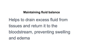 Maintaining fluid balance
Helps to drain excess fluid from
tissues and return it to the
bloodstream, preventing swelling
and edema
 
