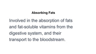 Absorbing Fats
Involved in the absorption of fats
and fat-soluble vitamins from the
digestive system, and their
transport to the bloodstream.
 