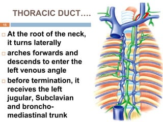 15
THORACIC DUCT…..
 At the root of the neck,
it turns laterally
 arches forwards and
descends to enter the
left venous angle
 before termination, it
receives the left
jugular, Subclavian
and broncho-
mediastinal trunk
 