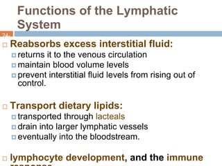 Functions of the Lymphatic
System
24-
5
 Reabsorbs excess interstitial fluid:
 returns it to the venous circulation
 maintain blood volume levels
 prevent interstitial fluid levels from rising out of
control.
 Transport dietary lipids:
 transported through lacteals
 drain into larger lymphatic vessels
 eventually into the bloodstream.
 lymphocyte development, and the immune
 