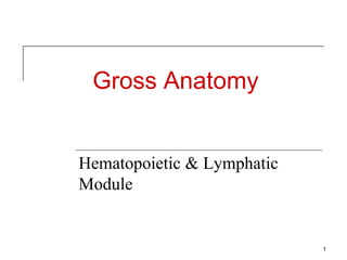 Gross Anatomy
Hematopoietic & Lymphatic
Module
1
 