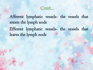  Afferent lymphatic vessels- the vessels that
enters the lymph node
 Efferent lymphatic vessels- the vessels that
leaves the lymph node
 