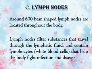  Around 600 bean shaped lymph nodes are
located throughout the body.
 Lymph nodes filter substances that travel
through the lymphatic fluid, and contain
lymphocytes (white blood cells) that help
the body fight infection and disease
 