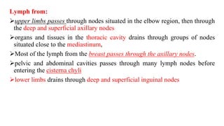 Lymph from:
upper limbs passes through nodes situated in the elbow region, then through
the deep and superficial axillary nodes
organs and tissues in the thoracic cavity drains through groups of nodes
situated close to the mediastinum,
Most of the lymph from the breast passes through the axillary nodes.
pelvic and abdominal cavities passes through many lymph nodes before
entering the cisterna chyli
lower limbs drains through deep and superficial inguinal nodes
 