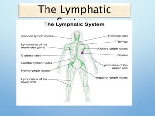 The Lymphatic
System
1
 