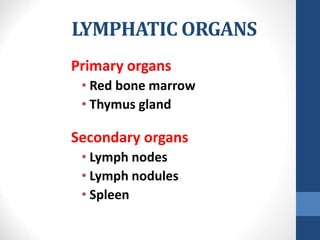LYMPHATIC ORGANS
Primary organs
• Red bone marrow
• Thymus gland
Secondary organs
• Lymph nodes
• Lymph nodules
• Spleen
 