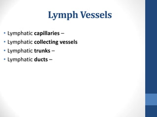 Lymph Vessels
• Lymphatic capillaries –
• Lymphatic collecting vessels
• Lymphatic trunks –
• Lymphatic ducts –
 