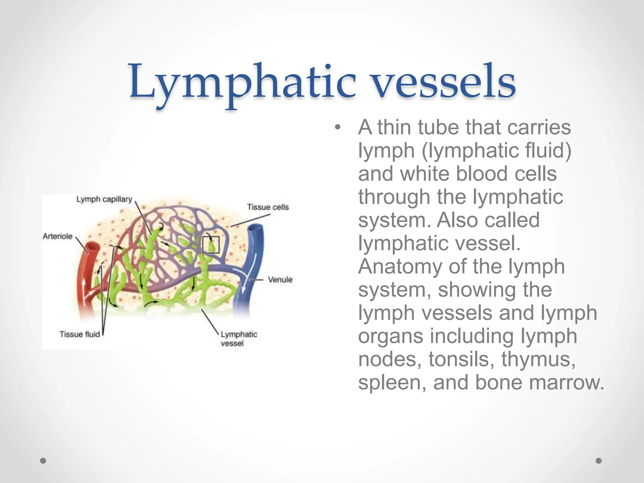 Lymphatic vessels
• A thin tube that carries
lymph (lymphatic fluid)
and white blood cells
through the lymphatic
system. Also called
lymphatic vessel.
Anatomy of the lymph
system, showing the
lymph vessels and lymph
organs including lymph
nodes, tonsils, thymus,
spleen, and bone marrow.
 