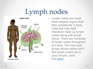 Lymph nodes
• Lymph nodes are small,
bean-shaped organs that
filter substances in body.
Cells that help fight
infections make up lymph
nodes along with lymph
tissue. There are hundreds
of lymph nodes throughout
our body. The most well-
known places where we’ll
find lymph nodes are in
your armpits, neck
and groin.
 