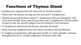 Functions of Thymus Gland
• Lymphocytes originate from the stem cells in red bone marrow.
• Those enter the thymus develop into the activated T- Lymphocytes.
• Thymic processing produces mature T- lymphocytes that can distinguish ‘self”
tissue from foreign tissue, and also provides each t- lymphocytes with the ability
to react to only one specific antigen from the millions it will encounter.
• T- lymphocytes then leaves the thymus and enter the blood.
• Some enter the lymphoid tissues and others circulate in the bloodstream.
• T- lymphocyte production, although most prolific in youth, probably continues
throughout the from a resident population of thymic stem cells.
 