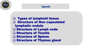 Lymphatic system | PDF