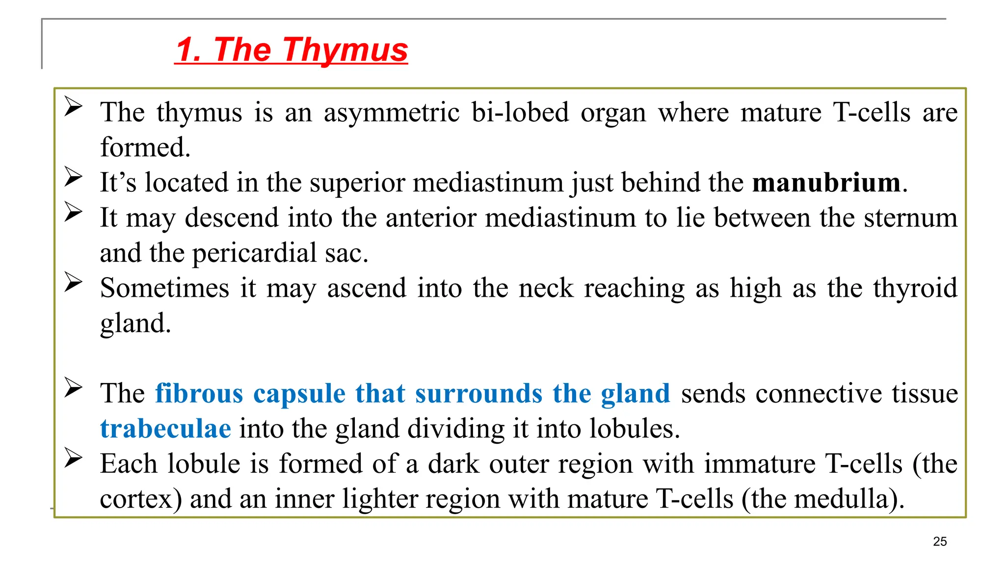 Lymphatic System.pptx Lymphatic System.pptx