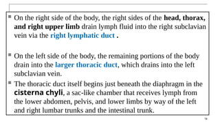  On the right side of the body, the right sides of the head, thorax,
and right upper limb drain lymph fluid into the right subclavian
vein via the right lymphatic duct .
 On the left side of the body, the remaining portions of the body
drain into the larger thoracic duct, which drains into the left
subclavian vein.
 The thoracic duct itself begins just beneath the diaphragm in the
cisterna chyli, a sac-like chamber that receives lymph from
the lower abdomen, pelvis, and lower limbs by way of the left
and right lumbar trunks and the intestinal trunk.
14
 