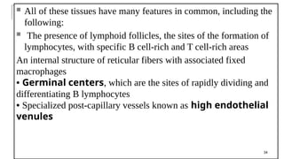  All of these tissues have many features in common, including the
following:
 The presence of lymphoid follicles, the sites of the formation of
lymphocytes, with specific B cell-rich and T cell-rich areas
An internal structure of reticular fibers with associated fixed
macrophages
• Germinal centers, which are the sites of rapidly dividing and
differentiating B lymphocytes
• Specialized post-capillary vessels known as high endothelial
venules
34
 