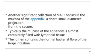  Another significant collection of MALT occurs in the
mucosa of the appendix, a short, small-diameter
projection
from the cecum.
 Typically the mucosa of the appendix is almost
completely filled with lymphoid tissue
 The lumen contains the normal bacterial flora of the
large intestine
67
 