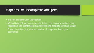 Haptens, or Incomplete Antigens
• are not antigenic by themselves
• When they link with our own proteins, the immune system may
recognize the combination as foreign and respond with an attack
• Found in poison ivy, animal dander, detergents, hair dyes,
cosmetics
 