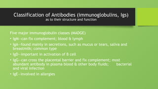 Classification of Antibodies (immunoglobulins, Igs)
as to their structure and function
Five major immunoglobulin classes (MADGE)
• IgM—can fix complement; blood & lymph
• IgA—found mainly in secretions, such as mucus or tears, saliva and
breastmilk; common type
• IgD—important in activation of B cell
• IgG—can cross the placental barrier and fix complement; most
abundant antibody in plasma blood & other body fluids; bacterial
and viral infection
• IgE—involved in allergies
 