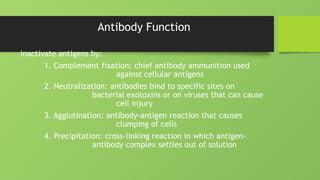 Antibody Function
inactivate antigens by:
1. Complement fixation: chief antibody ammunition used
against cellular antigens
2. Neutralization: antibodies bind to specific sites on
bacterial exotoxins or on viruses that can cause
cell injury
3. Agglutination: antibody-antigen reaction that causes
clumping of cells
4. Precipitation: cross-linking reaction in which antigen-
antibody complex settles out of solution
 