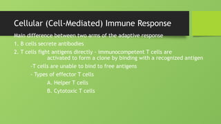 Cellular (Cell-Mediated) Immune Response
Main difference between two arms of the adaptive response
1. B cells secrete antibodies
2. T cells fight antigens directly - immunocompetent T cells are
activated to form a clone by binding with a recognized antigen
-T cells are unable to bind to free antigens
- Types of effector T cells
A. Helper T cells
B. Cytotoxic T cells
 