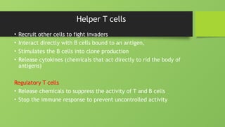 Helper T cells
• Recruit other cells to fight invaders
• Interact directly with B cells bound to an antigen,
• Stimulates the B cells into clone production
• Release cytokines (chemicals that act directly to rid the body of
antigens)
Regulatory T cells
• Release chemicals to suppress the activity of T and B cells
• Stop the immune response to prevent uncontrolled activity
 