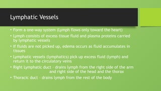 Lymphatic Vessels
• Form a one-way system (Lymph flows only toward the heart)
• Lymph consists of excess tissue fluid and plasma proteins carried
by lymphatic vessels
• If fluids are not picked up, edema occurs as fluid accumulates in
tissues
• Lymphatic vessels (lymphatics) pick up excess fluid (lymph) and
return it to the circulatory veins
• Right Lymphatic duct – drains lymph from the right side of the arm
and right side of the head and the thorax
• Thoracic duct – drains lymph from the rest of the body
 